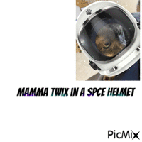 a picture of mamma twix - Gratis animeret GIF