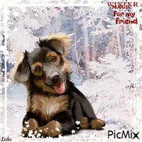 Dog. Winter magic for my friend. - GIF animé gratuit