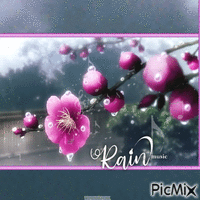 Rain--music animovaný GIF