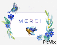 Merci oiseau, cadre fleurs - 免费动画 GIF