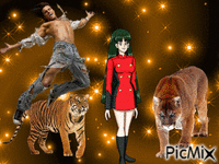 la lionne le tigre Animated GIF