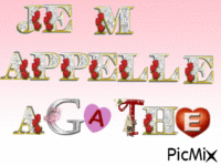 Je m'appelle... 动画 GIF