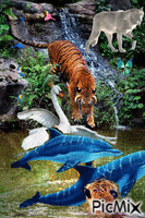 wild animals - 免费动画 GIF
