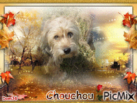 Chouchou animasyonlu GIF