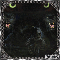 ma créa panthere noir ♥♥♥ animerad GIF