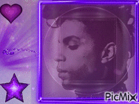 Prince Purple Love - Бесплатни анимирани ГИФ