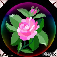 Pink Rose animeret GIF