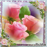 Flores cor de rosa - Безплатен анимиран GIF