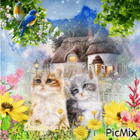 Deux   amis chats  dans  les  fleurs - GIF animé gratuit