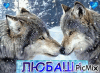 Любаша - Bezmaksas animēts GIF