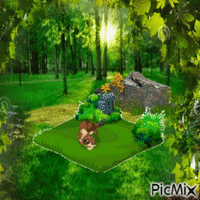 playful weasel - Bezmaksas animēts GIF