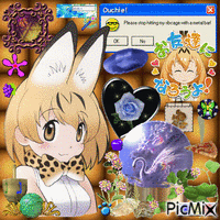 serval 动画 GIF