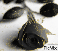 Beautiful Picmix Conny Monsieurs - Бесплатни анимирани ГИФ