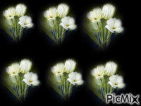 spring - GIF animé gratuit