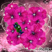 lila virág animált GIF