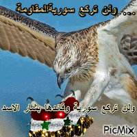 سورية ما بتنذل - Бесплатный анимированный гифка