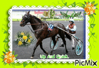 Le champion Up And Quick. animēts GIF
