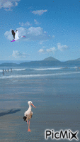praia - GIF animado grátis