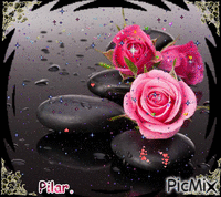 Negro y rosa - GIF animé gratuit