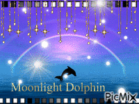 Moonlight Dolphin animovaný GIF