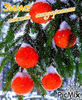 зима пахнет мандаринами - Ingyenes animált GIF
