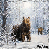 Bären vor dem Winterschlaf анимиран GIF