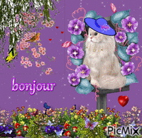 bonjour - 免费动画 GIF