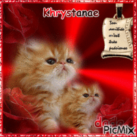 Khrystanae pour toi avec toute mon amitie ♥♥♥ animovaný GIF