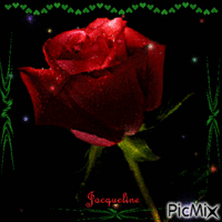 rose étincelante GIF animé