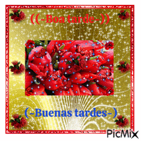 Red flowers/Boa tarde/Buenas tardes - GIF animado gratis