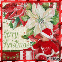 🎅🏼🎄🤍Merry Christmas 🤍🎄🎅🏼 - Gratis geanimeerde GIF