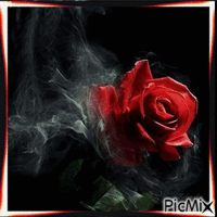роза - Gratis animerad GIF