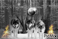 Wolf in the fire - gratis png