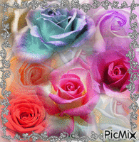 ROSES PINK, RED, DARK RED, WHITEROSES WHITE A WHITE FOG AROUND THEM, A DAISYBLUE AND YELLOW AN ORANGE FLOWER AND A PURPLE BACKGROUND, THE FRAME IS MULTIY COLORED IT IS THE ONLY MOVEMENT. アニメーションGIF