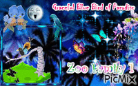 Graceful Blue Bird of Paradise - Free animated GIF