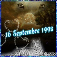 16 Septembre 1993 Gif Animado
