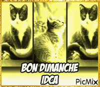 Bon dimanche les chatons - Бесплатный анимированный гифка
