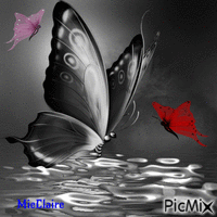 Papillons geanimeerde GIF