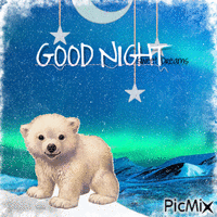 Good Night Polar Bear