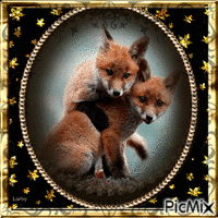 Le renard !!!! - GIF animate gratis