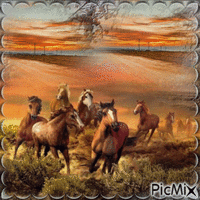 Les Chevaux Animated GIF