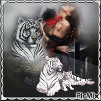tigre blanc - GIF animado gratis