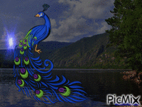 Синяя птица - Free animated GIF