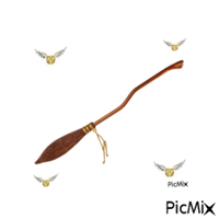 bucking firebolt broom - GIF animado grátis