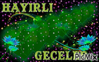 GECE - Zdarma animovaný GIF