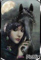 cheval 动画 GIF