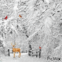 Beautiful Winter 动画 GIF