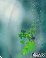 Dentro de una gota Animated GIF