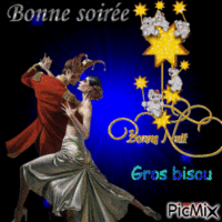 bonne soiree animovaný GIF