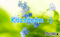 köszi - 無料のアニメーション GIF